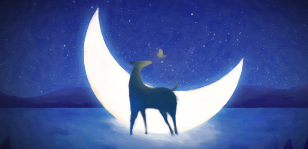 简述课程类别及其划分依据